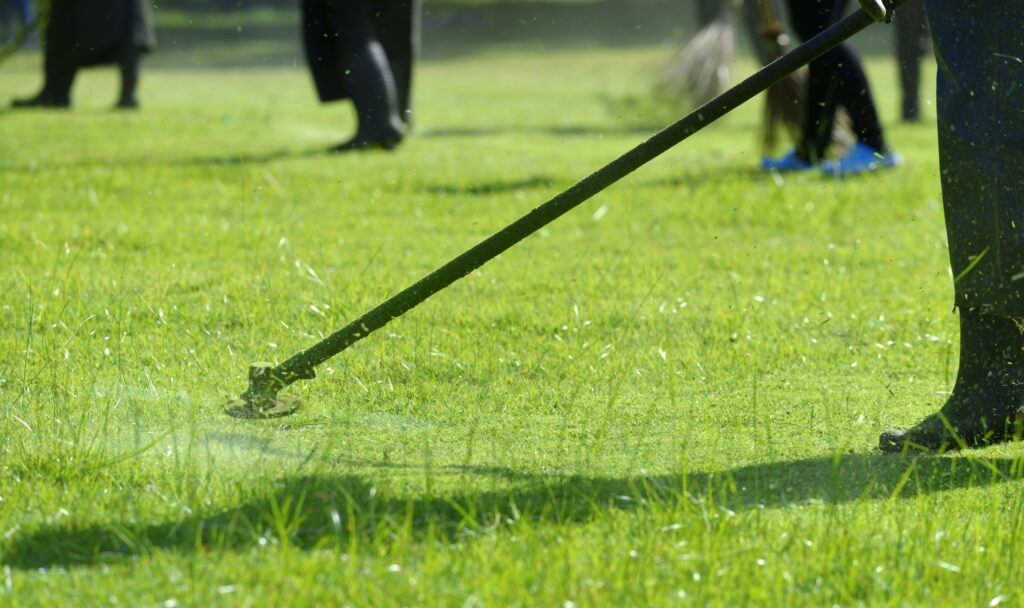 turf grass cleaning